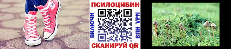 МЕГА   Красково  darknet формула  Галлюциногенные грибы MAGIC MUSHROOMS 