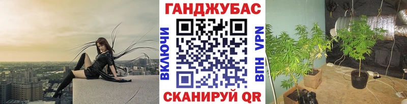 Конопля гибрид  Красково 